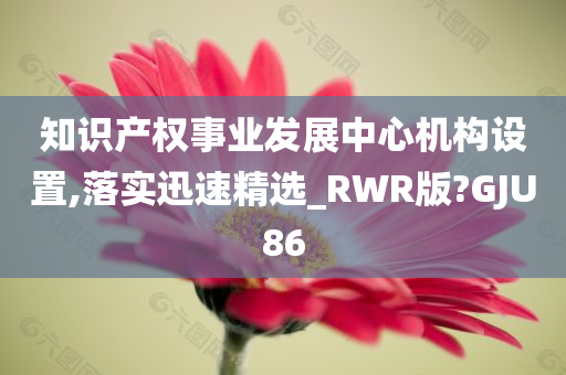 知识产权事业发展中心机构设置,落实迅速精选_RWR版?GJU86