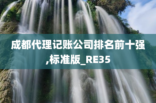 成都代理记账公司排名前十强,标准版_RE35