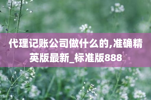 代理记账公司做什么的,准确精英版最新_标准版888