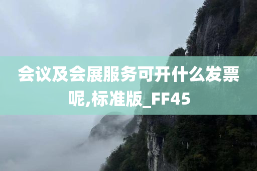 会议及会展服务可开什么发票呢,标准版_FF45