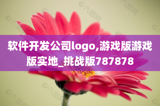 软件开发公司logo,游戏版游戏版实地_挑战版787878