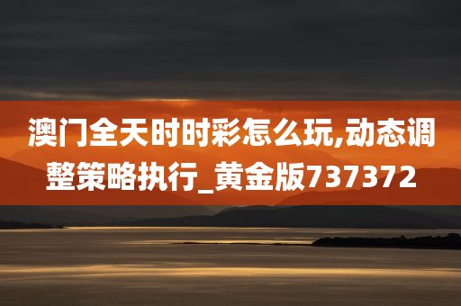 澳门全天时时彩怎么玩,动态调整策略执行_黄金版737372