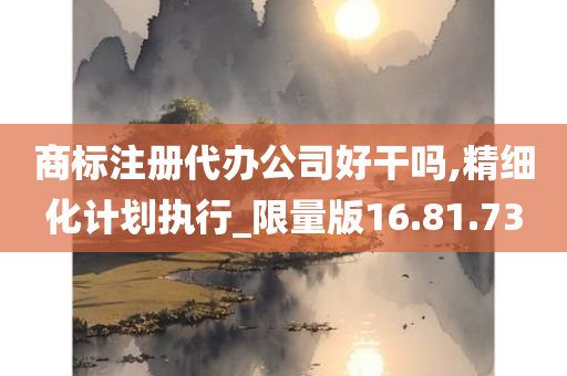 商标注册代办公司好干吗,精细化计划执行_限量版16.81.73