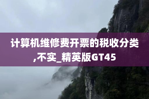 计算机维修费开票的税收分类,不实_精英版GT45