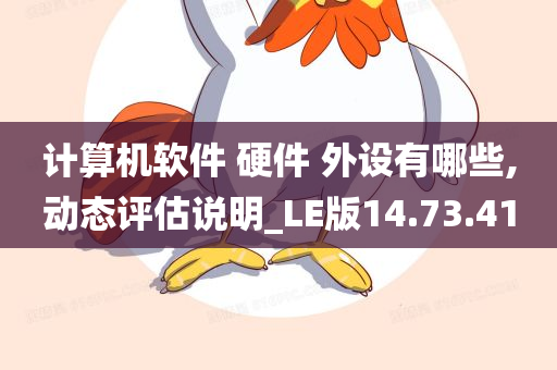 计算机软件 硬件 外设有哪些,动态评估说明_LE版14.73.41