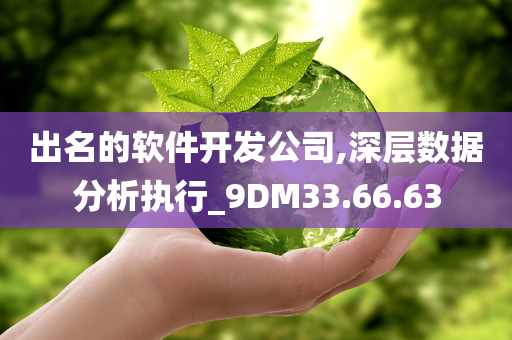 出名的软件开发公司,深层数据分析执行_9DM33.66.63