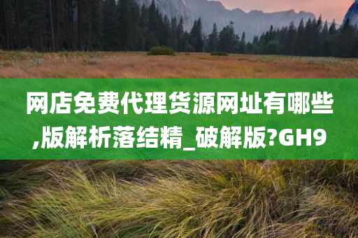 网店免费代理货源网址有哪些,版解析落结精_破解版?GH9