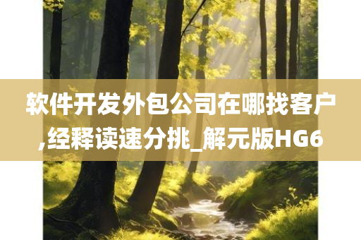 软件开发外包公司在哪找客户,经释读速分挑_解元版HG6