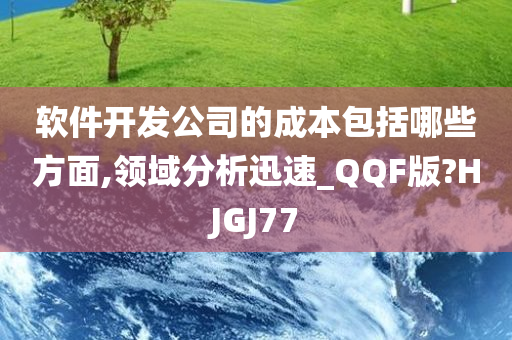 软件开发公司的成本包括哪些方面,领域分析迅速_QQF版?HJGJ77