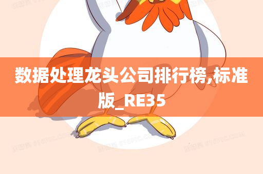 数据处理龙头公司排行榜,标准版_RE35