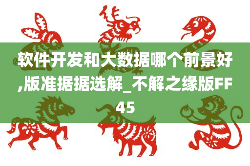 软件开发和大数据哪个前景好,版准据据选解_不解之缘版FF45