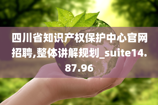 四川省知识产权保护中心官网招聘,整体讲解规划_suite14.87.96