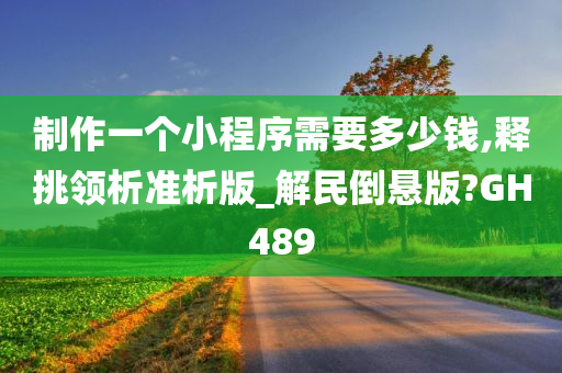 制作一个小程序需要多少钱,释挑领析准析版_解民倒悬版?GH489