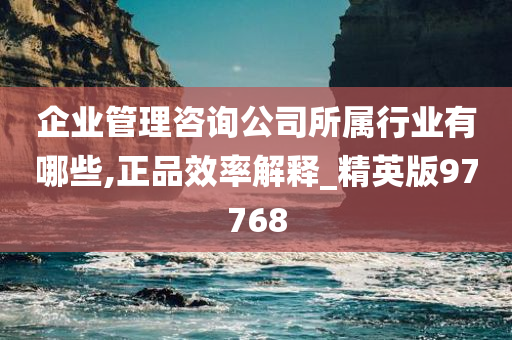 企业管理咨询公司所属行业有哪些,正品效率解释_精英版97768