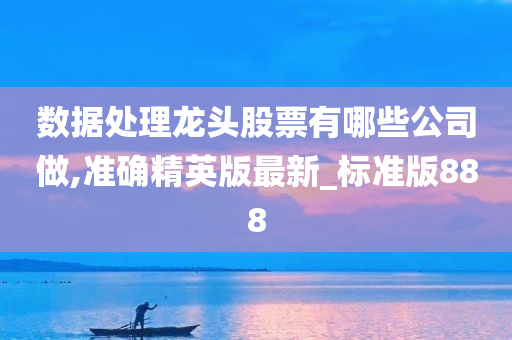 数据处理龙头股票有哪些公司做,准确精英版最新_标准版888