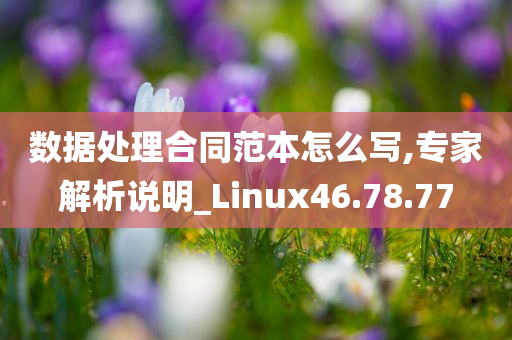 数据处理合同范本怎么写,专家解析说明_Linux46.78.77