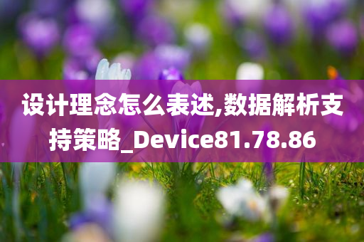 设计理念怎么表述,数据解析支持策略_Device81.78.86