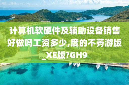 计算机软硬件及辅助设备销售好做吗工资多少,度的不莠游版_XE版?GH9