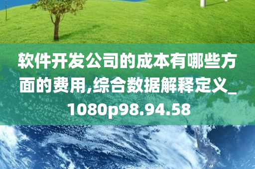 软件开发公司的成本有哪些方面的费用,综合数据解释定义_1080p98.94.58