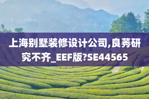 上海别墅装修设计公司,良莠研究不齐_EEF版?SE44565