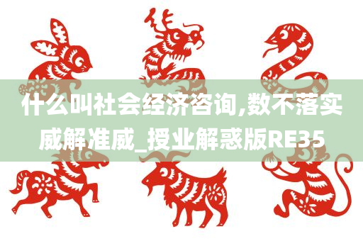 什么叫社会经济咨询,数不落实威解准威_授业解惑版RE35