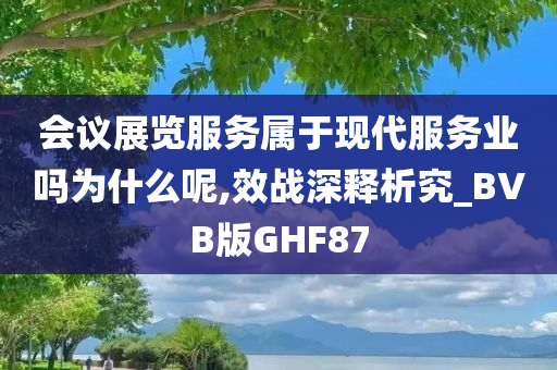 会议展览服务属于现代服务业吗为什么呢,效战深释析究_BVB版GHF87