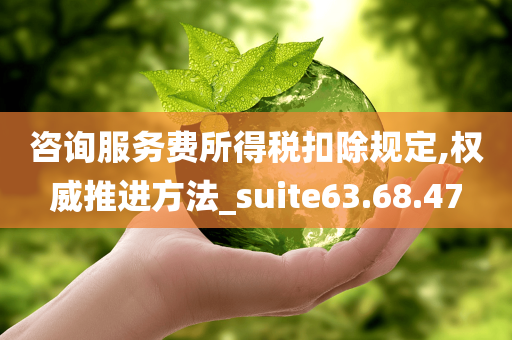 咨询服务费所得税扣除规定,权威推进方法_suite63.68.47