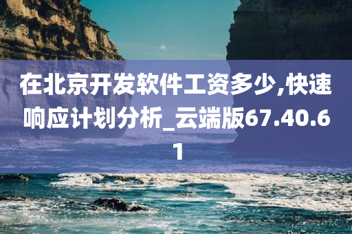 在北京开发软件工资多少,快速响应计划分析_云端版67.40.61