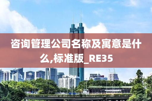 咨询管理公司名称及寓意是什么,标准版_RE35