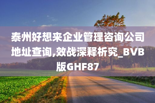 泰州好想来企业管理咨询公司地址查询,效战深释析究_BVB版GHF87