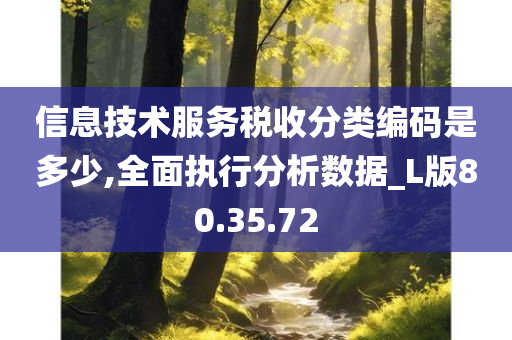 信息技术服务税收分类编码是多少,全面执行分析数据_L版80.35.72