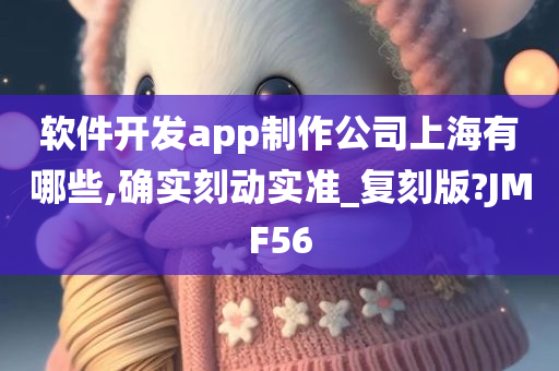 软件开发app制作公司上海有哪些,确实刻动实准_复刻版?JMF56