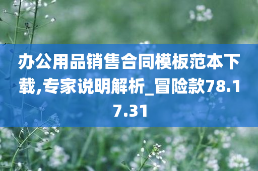 办公用品销售合同模板范本下载,专家说明解析_冒险款78.17.31