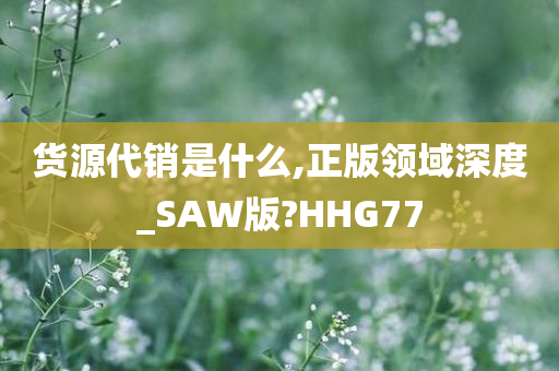 货源代销是什么,正版领域深度_SAW版?HHG77