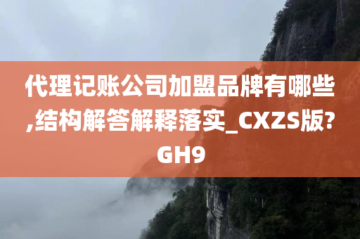 代理记账公司加盟品牌有哪些,结构解答解释落实_CXZS版?GH9