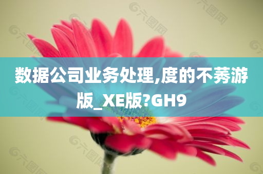 数据公司业务处理,度的不莠游版_XE版?GH9