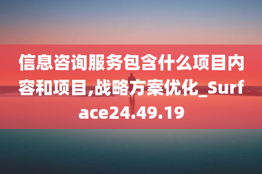 信息咨询服务包含什么项目内容和项目,战略方案优化_Surface24.49.19