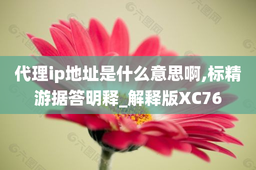 代理ip地址是什么意思啊,标精游据答明释_解释版XC76