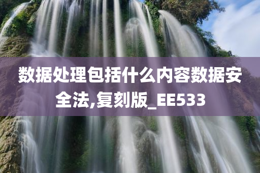 数据处理包括什么内容数据安全法,复刻版_EE533