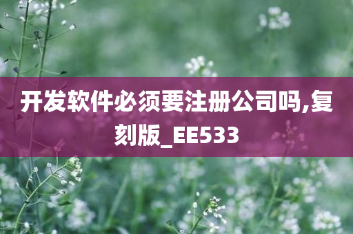 开发软件必须要注册公司吗,复刻版_EE533