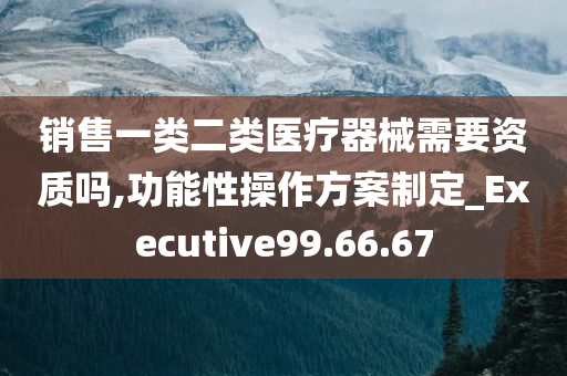 销售一类二类医疗器械需要资质吗,功能性操作方案制定_Executive99.66.67