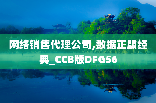 网络销售代理公司,数据正版经典_CCB版DFG56