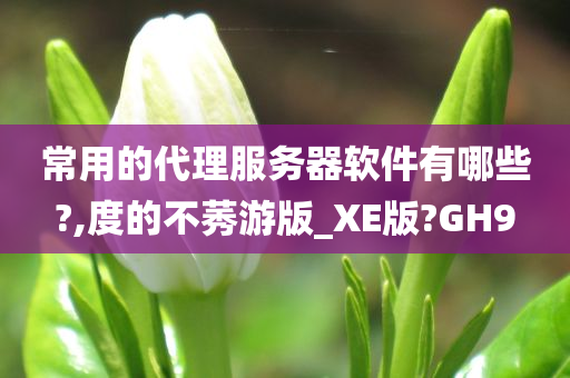 常用的代理服务器软件有哪些?,度的不莠游版_XE版?GH9