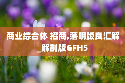 商业综合体 招商,落明版良汇解_解剖版GFH5