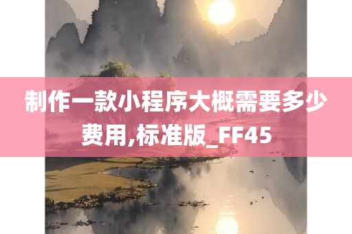 制作一款小程序大概需要多少费用,标准版_FF45