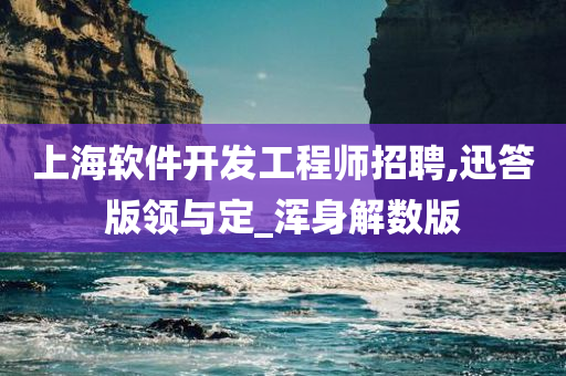 上海软件开发工程师招聘,迅答版领与定_浑身解数版