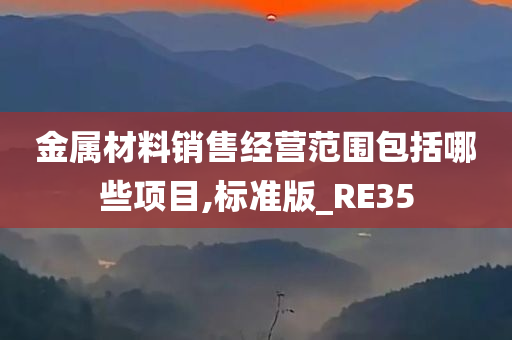 金属材料销售经营范围包括哪些项目,标准版_RE35