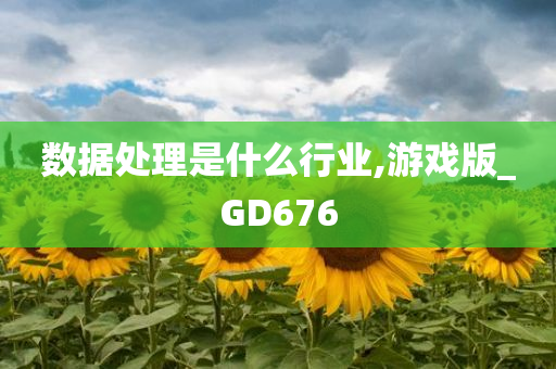 数据处理是什么行业,游戏版_GD676