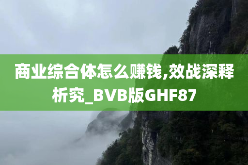 商业综合体怎么赚钱,效战深释析究_BVB版GHF87