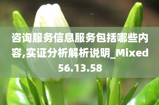 咨询服务信息服务包括哪些内容,实证分析解析说明_Mixed56.13.58